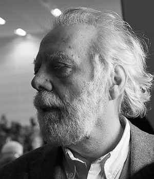 Cronaca e satira. Una vignetta lunga una vita